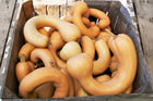 Tahitian Melon squash with long tan necks
