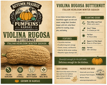 Violina Rugosa butternut seed packet front and back - Italian heirloom winter squash planting guide - Autumn Prairie Pumpkins Kansas