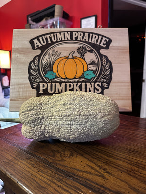 Violina Rugosa butternut squash - Kansas grown fruit beside the Autumn Prairie Pumpkins sign - Italian heirloom moschata